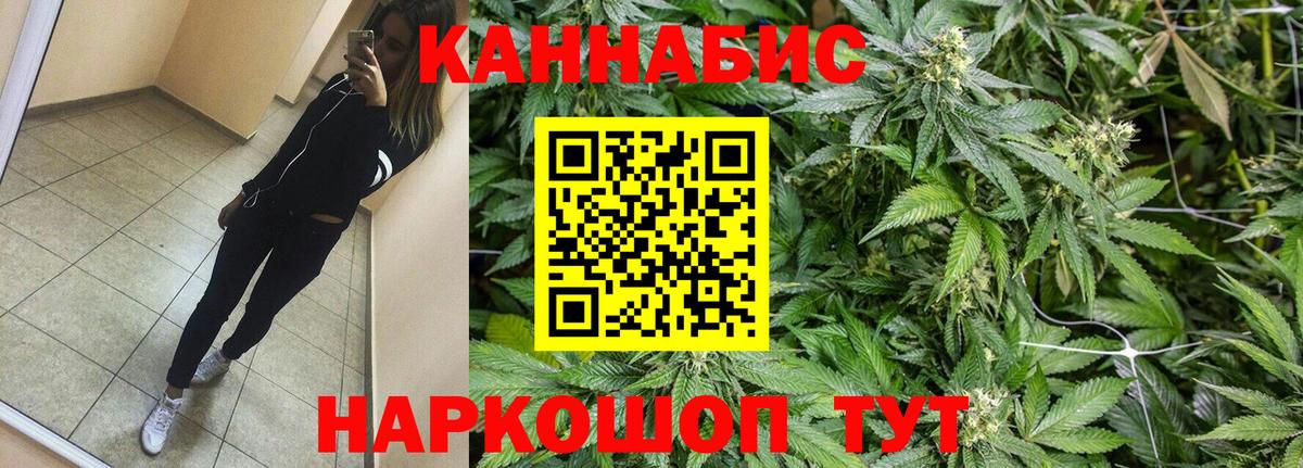 Конопля семена Отрадное